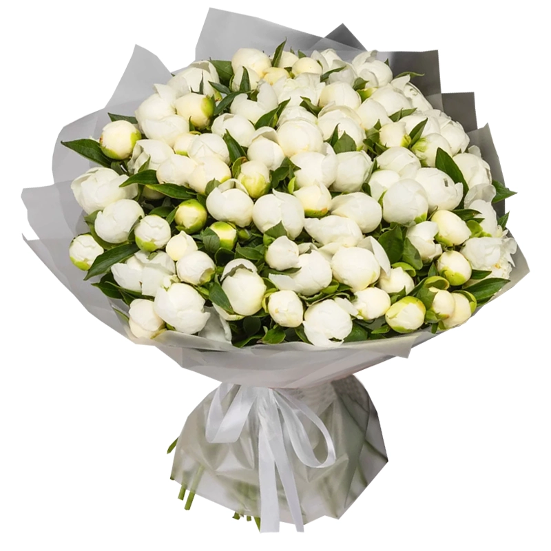 Букет из 101 белого пиона
